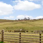 Sheep Dip *